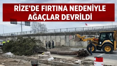 Rize’de Fırtına Nedeniyle Ağaçlar Devrildi
