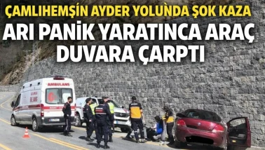 Çamlıhemşin Ayder Yolunda Şok Kaza: Arı Panik Yaratınca Araç Duvara Çarptı