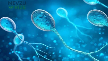 Stresin Sıradışı Etkisi: Erkek Kısırlığında Unutulan 'Hormonal' Faktörler Ortaya Çıktı!