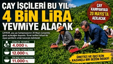 Çay İşçileri Bu Yıl 4 Bin Lira Yevmiye Alacak