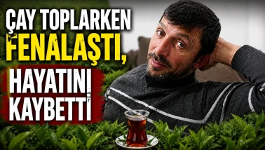 Çay Hasadı Sırasında Bayılan İşçi Hayatını Kaybetti
