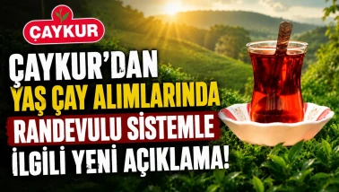 ÇAYKUR'dan yaş çay alımlarında randevulu sistemle ilgili yeni açıklama!