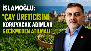İslamoğlu: Çay Üreticisini Koruyacak Adımlar Gecikmeden Atılmalı