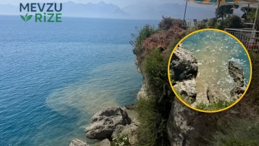 Dünyanın Dikkatini Çeken Parkta Korkutan Foseptik Sızıntısı: Denize Girenler Çözüm Arıyor!