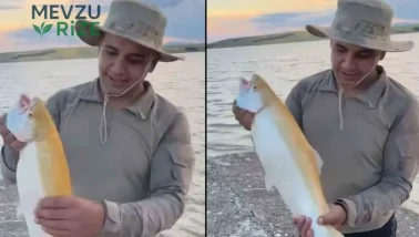Elazığ'da Keban Barajı'nda Eşine Az Rastlanan Sarı Albino Alabalık Tutuldu!