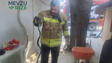 Antakya'da Evde Bulunan Yılan İtfaiye Ekipleri Tarafından Kurtarıldı ve Doğaya Salındı