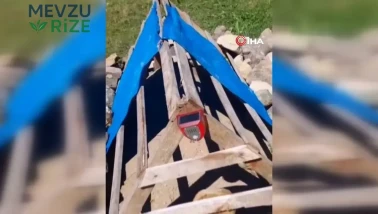 Rize'de Ayıların Mezarlara Zarar Vermesini Önlemek İçin Sağlam Bir Önlem: Köpek Sesi Yayan Cihazlar Kuruldu!