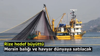Rize hedef büyüttü: Mersin balığı ve havyar dünyaya satılacak