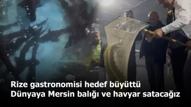 Rize gastronomisi hedef büyüttü: Dünyaya Mersin balığı ve havyar satacağız