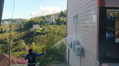 Trabzon'da kahverengi kokarca ile mücadele için ilaçlama çalışmaları başladı