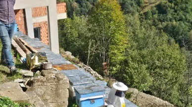 Şalpazarı'nda arıcılık için kovan tespit çalışmaları sürdürüldü, kayıtlı üretim artırılacak
