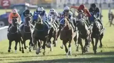 İzmir 25 Ekim 2025 Cumartesi At Yarışı Sonuçları!