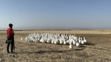 Kars'ta Yaşamı Değiştiren Başarı: 500 ile Başladı, 1400'e Ulaştı!