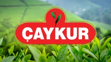 ÇAYKUR, Eylül ayı yaş çay paraları hesaplara yatıyor