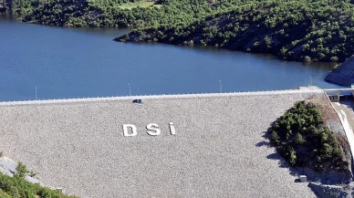 DSİ 1389 Personel Alımı Başvuru Ekranı ve Başvuru Detayları | 2025