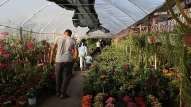 Rize'de Öğretmenler Günü Çiçek Trendi Değişti! En Çok Hangi Çiçek Alınıyor?