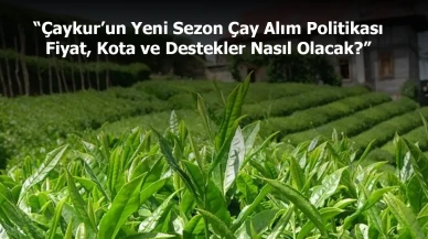Çaykur’un Yeni Sezon Çay Alım Politikası | Fiyat, Kota ve Destekler Nasıl Olacak?