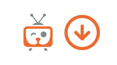 İnat Box APK İndir 2025 Son Sürüm | Ücretsiz ve Güvenli Yayın Keyfi