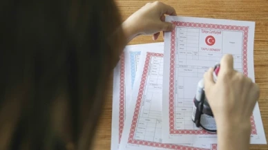 Tapuda kazandıran 10 şehir açıklandı | Rize kaçıncı sırada yer aldı