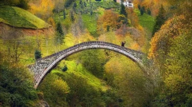 Rize'nin En Meşhur 5 Yaylası