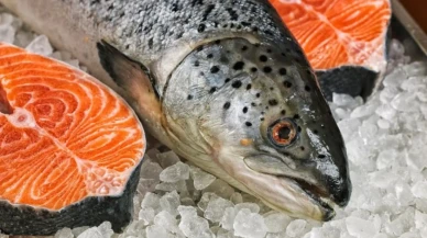 Artvin’den 67 ülkeye Türk somonu ihracatı