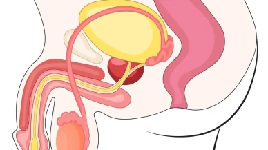 Hipospadias (Peygamber Sünneti) Nedir?