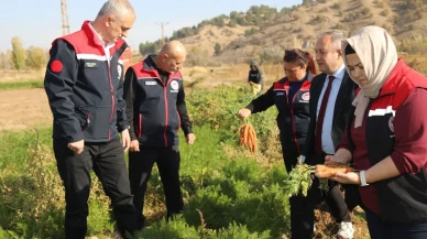 Kırıkkale'de Yerel Üreticilere Destek ve Teşvik Programları Devam Ediyor!