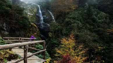 Rize’de Turizm Yatırımları Hız Kazandı: Yapay Zekâ Destekli Projeler Göçü ve Ekonomik Canlılığı Artırıyor