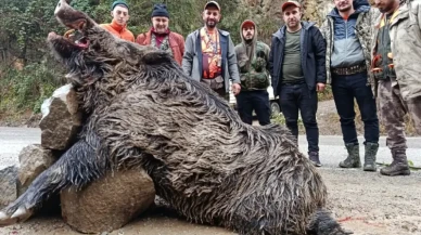 Trabzon’da Sürek Avında 7 Yaban Domuzu Etkisiz Hale Getirildi: 300 Kiloluk Dev Domuz Dikkat Çekti