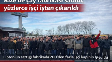 Rize'de çay fabrikası satıldı, yüzlerce işçi işten çıkarıldı