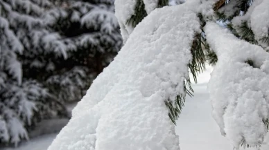 10 Aralık’ta Okullar Tatil mi? İşte Kars, Van, Hakkari ve Ağrı İçin Son Durum