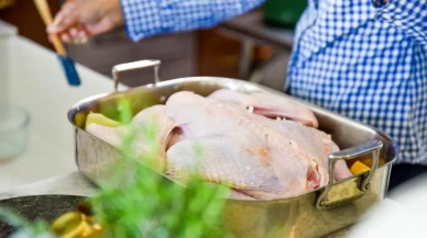 Tavukta Tehlike: Bakteriler Üremeye Başlayınca Her Gıda Zehirlenme Riski Taşıyor!