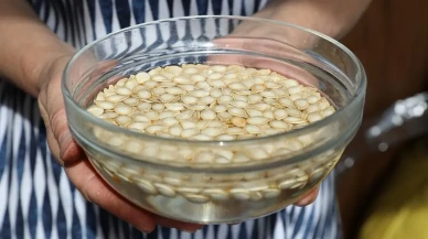 Kabak Çekirdeğini Suda Bekletmek: Sağlık için Sıradışı Faydaları!