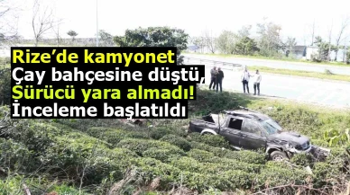 Rize’de kamyonet çay bahçesine düştü, sürücü yara almadı! İnceleme başlatıldı.