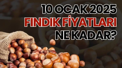10 Ocak 2025 Fındık Fiyatları Ne Kadar?