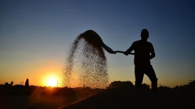 Çiftçilere 8,4 milyar lira destek ödemesi