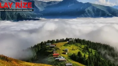 Pokut yaylası nerededir? Pokut yaylasına nasıl gidilir?
