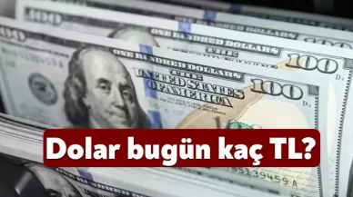 Dolar bugün kaç TL? Dolar/TL parametresi bugün ne kadar? Euro/TL parametresi bugün kaç TL? Euro düştü mü? (9