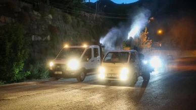 Bitlis Belediyesi’nden Yaz Aylarında Yoğun İlaçlama Çalışması