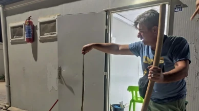 Konteynere giren yılan paniğe neden oldu
