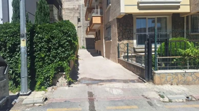 Ankara'da polis, sokak köpeğini tabancayla öldürdü