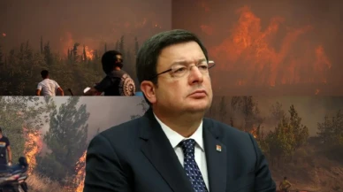 Çanakkale Belediye Başkanı'nından Çanakkale'deki orman yangınlarına ilişkin açıklama