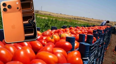 Şaşırtan Karşılaştırma: 20 Ton Domates Eşdeğeri iPhone 17