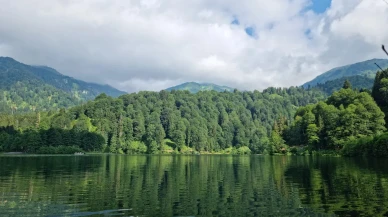 Artvin Gezilecek Yerler: Doğanın Kalbinde Eşsiz Bir Yolculuk