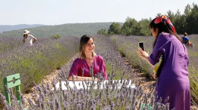 Mor Altın Yağı ve Çiçeğiyle Ekonomiye Katkı: Küçük Bahçelerle Büyüyen Karlar