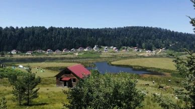 Sakarya Kamp Alanları: Doğayla Baş Başa Huzurlu Bir Deneyim