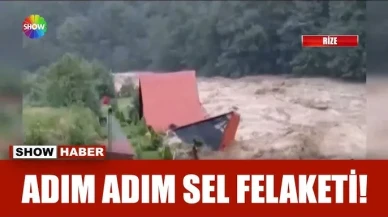 Sel önüne çıkanı sürükledi!