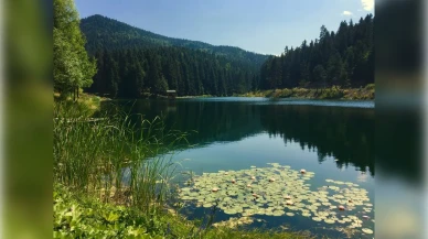 Tarihi, doğası ve manzaralarıyla Sinop’ta görmeniz gereken noktalar