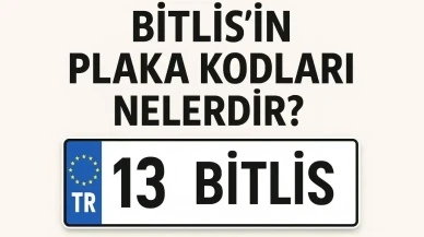 Bitlis Plaka Kodu Kaç? Değişti mi, Kaçıncı Sırada ve Hangi Bölgede?