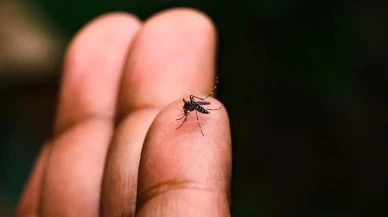 Çin'de Yeni Salgın Alarmı: Acil Durum İlanı Yapıldı!